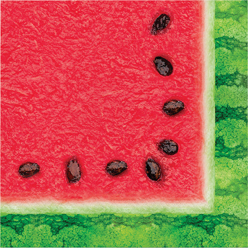 Watermelon Wow Luncheon Napkins 16 Ct