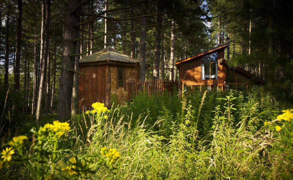 Image of the cabin and additional sleeping pod of the Golden Oak Treehouse in Sherwood Forest, Nottinghamshire. 