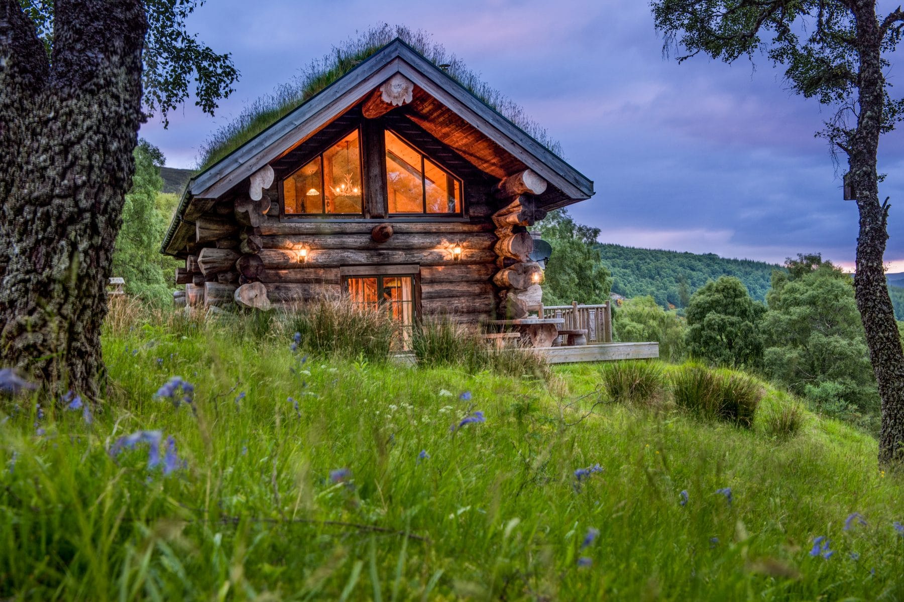 Image of Parus at Eagle Brae, a log cabin with a grass and wildflower covered roof.