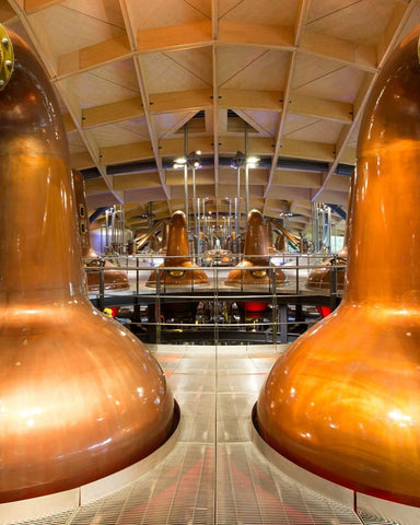 Macallan Whisky Distillery, Scottish Whisky Blog, Scottish Whisky Distillery