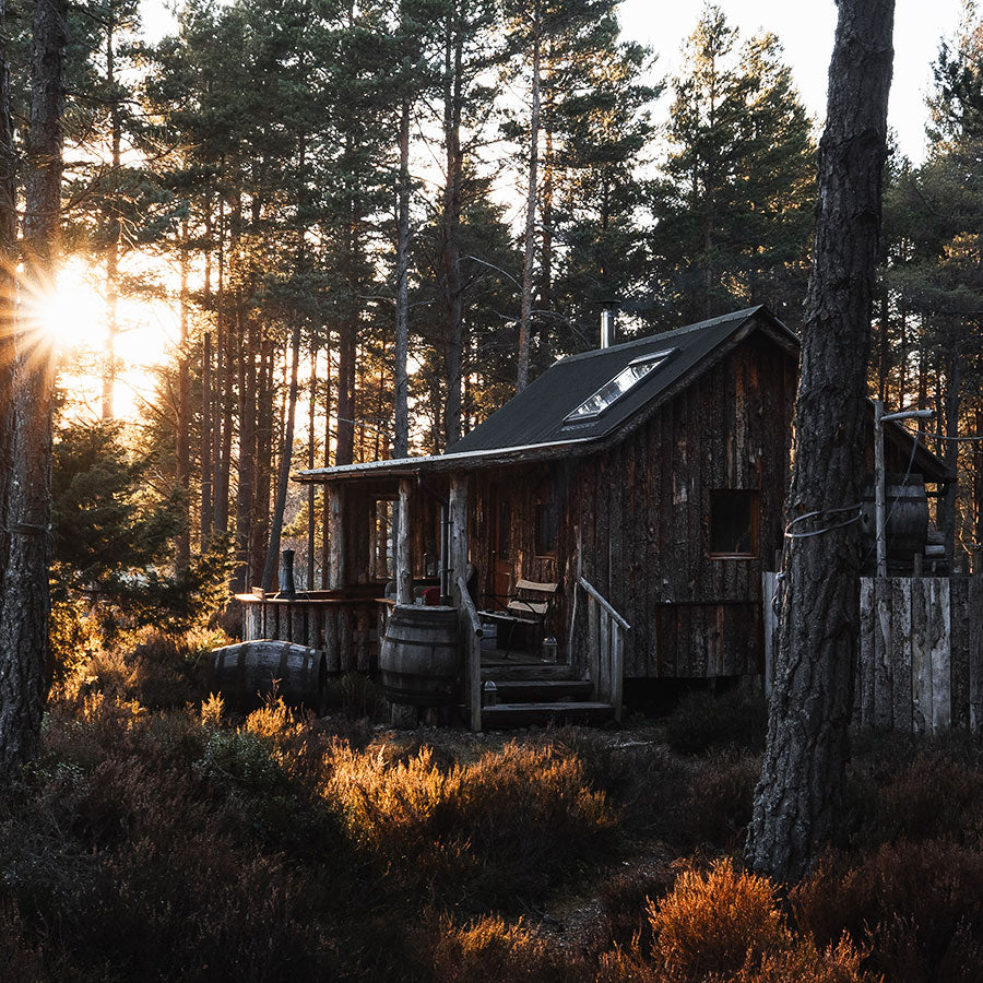 Image of Lazy Duck's eco-lodge The Woodman's Hut.