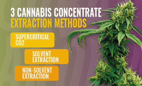 3 cannabis concentrate extraction methods