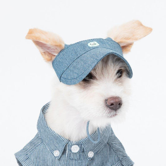 Cooling Bucket Hat for Dogs  Tudou Curated Pet Supplies – TUDOU