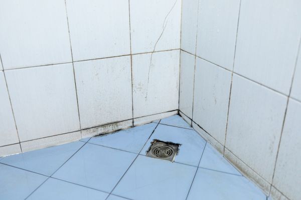 Image d'une douche avec de la moisissure dans le joint de carrelage