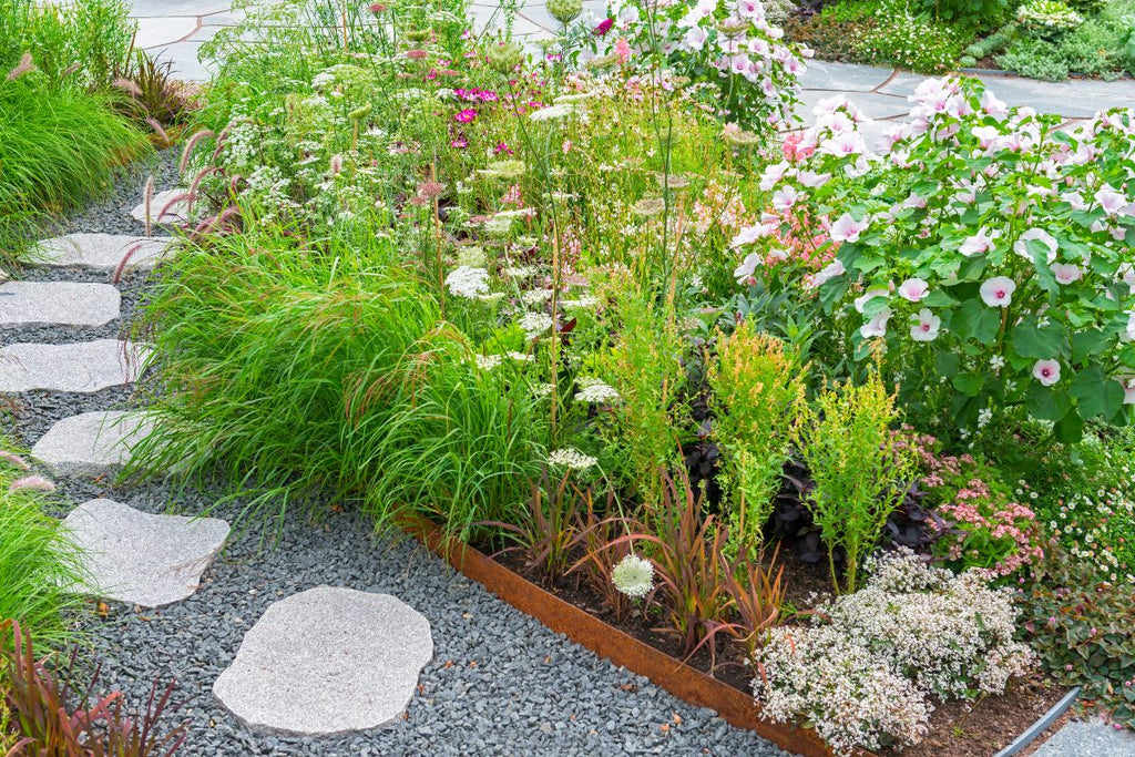 Allée de jardin aux formes géométriques simples