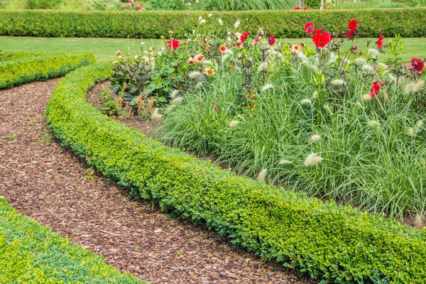 Gartenweg aus Rindenmulch