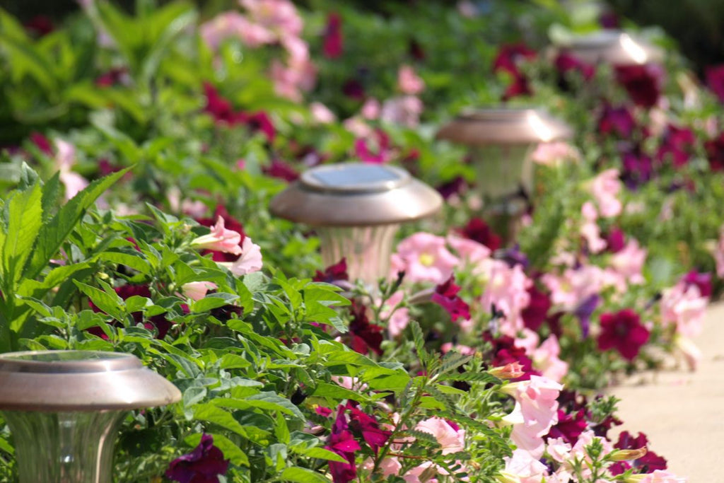 Gartenweg beleuchtet mit Solarlampe