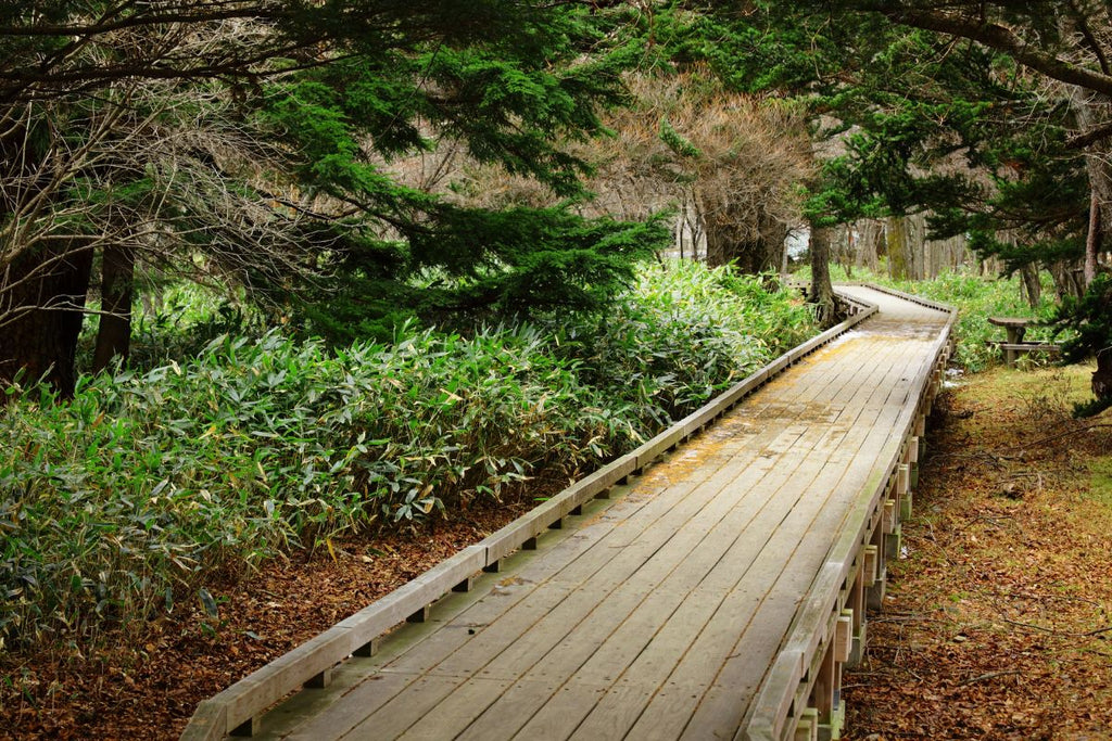 Gartenweg aus Holz in Kanada mit Hartholz