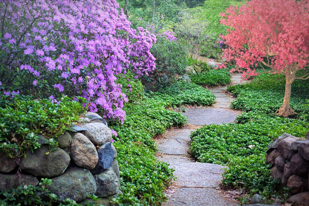 Ein Gartenweg mit vielen Pflanzen