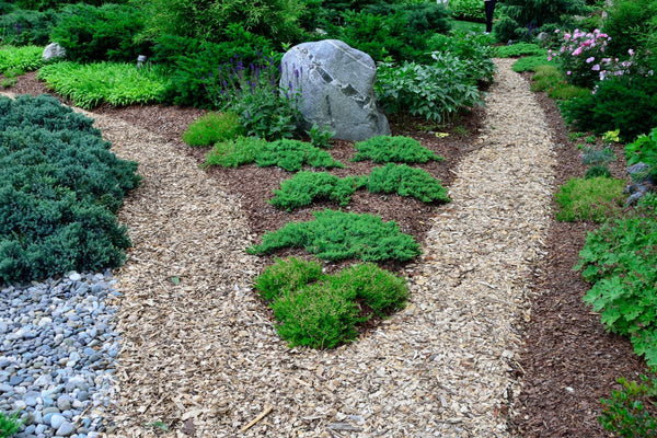 Pflegeleichte Bepflanzung für Gartenwege