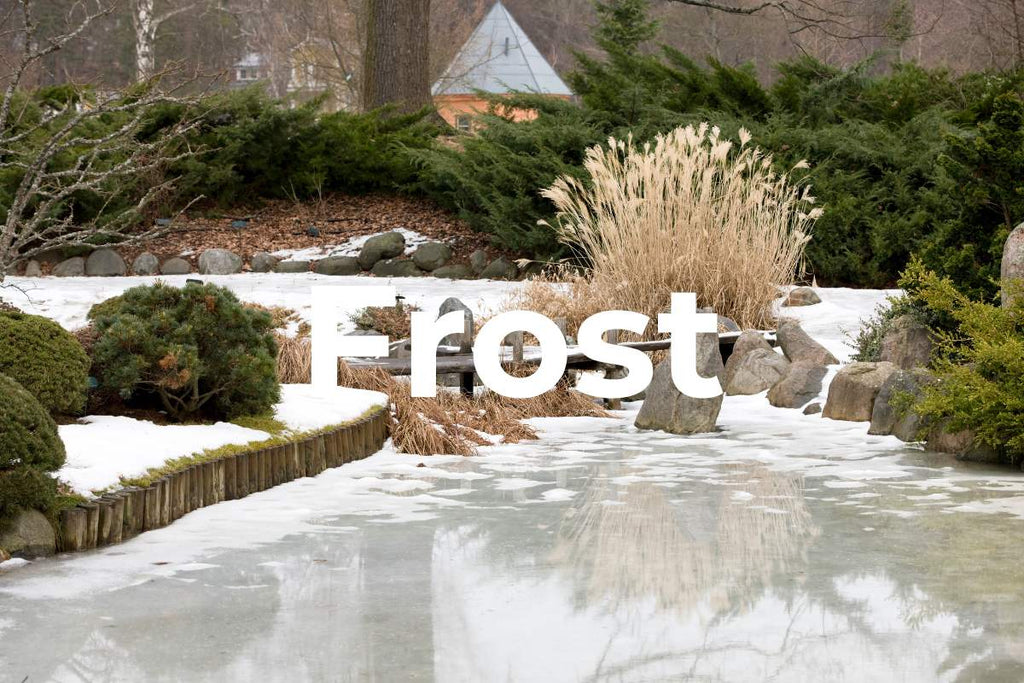 Image of frost-proof large format tiles laid on a terrace in winter