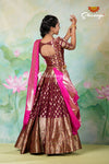 Impressive Brown Banarasi Lehenga