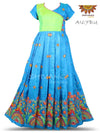 Girls Blue Embroidery parrot Long Gown 