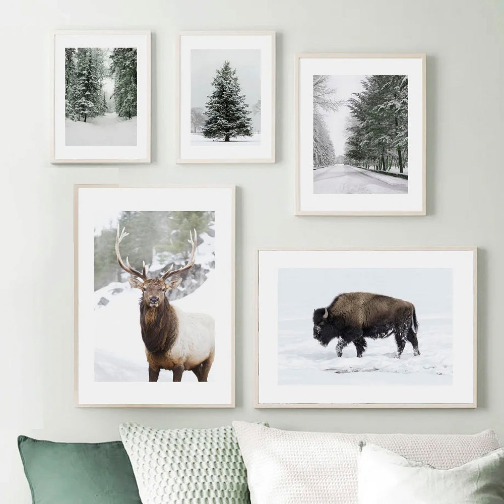 Whispers of the Wilderness: Winter Wildlife & Forest Wall Art Collection