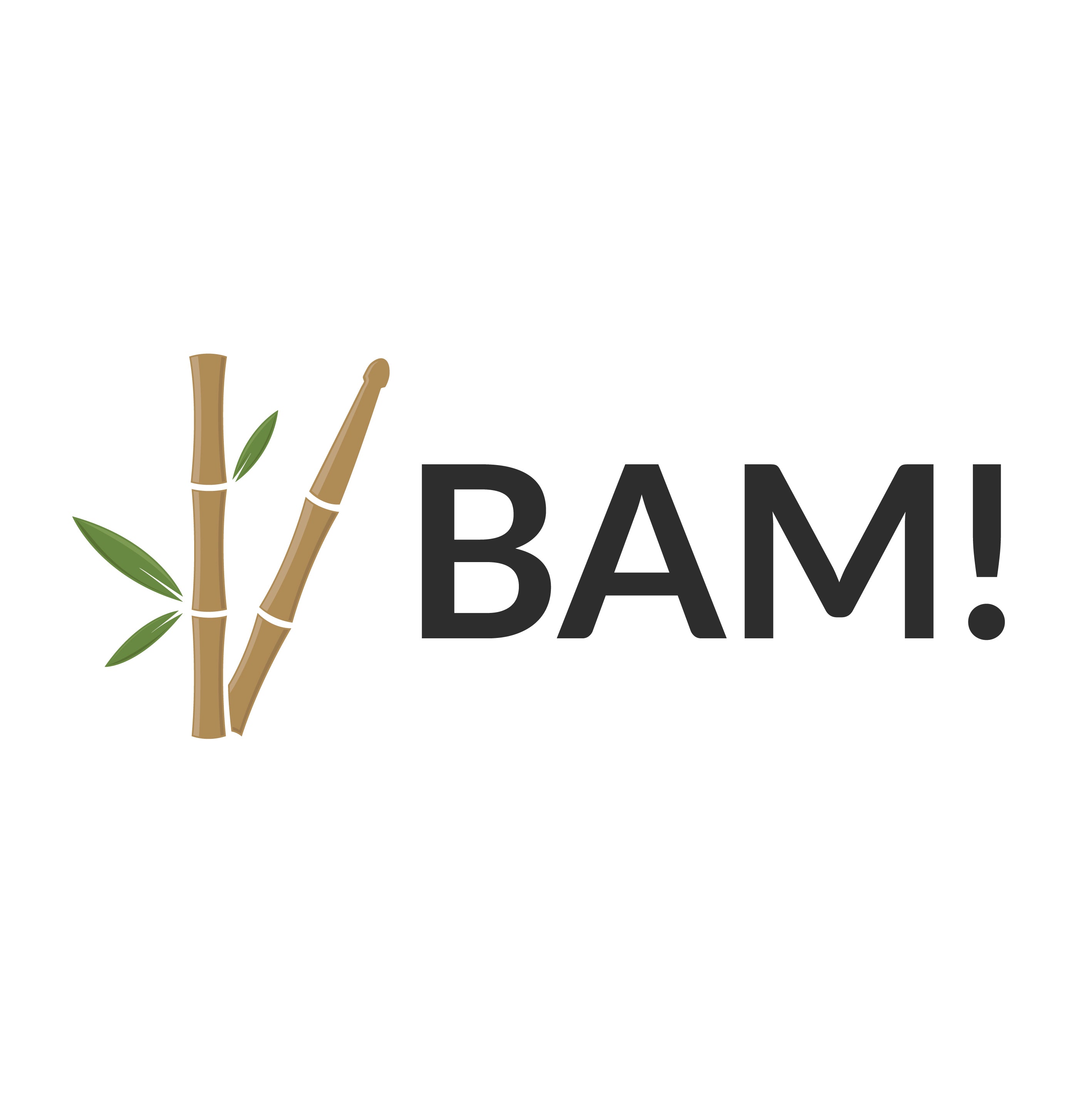 BAM!Sticks | Bambus-Drumsticks