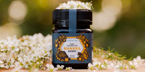 recueillir du miel de manuka mgo 2000 plus avec des fleurs de manuka