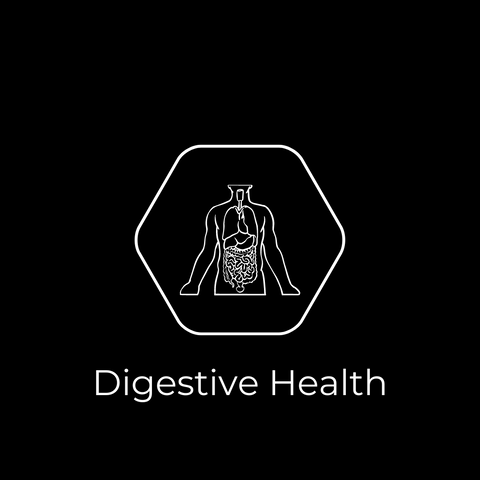 hexagon with picture of digestive system inside with digestive health