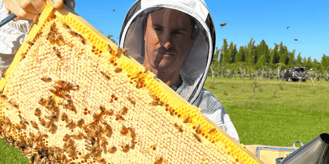 Bild unseres Landwirts und Imkers Martin Brown, der einen Bienenstock hebt und Bienen hält