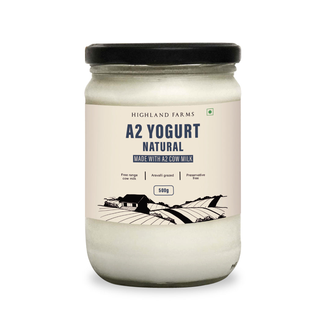 A2 Yogurt Natural, 500gm