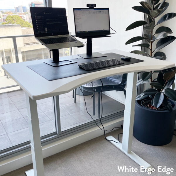 dual standing desk