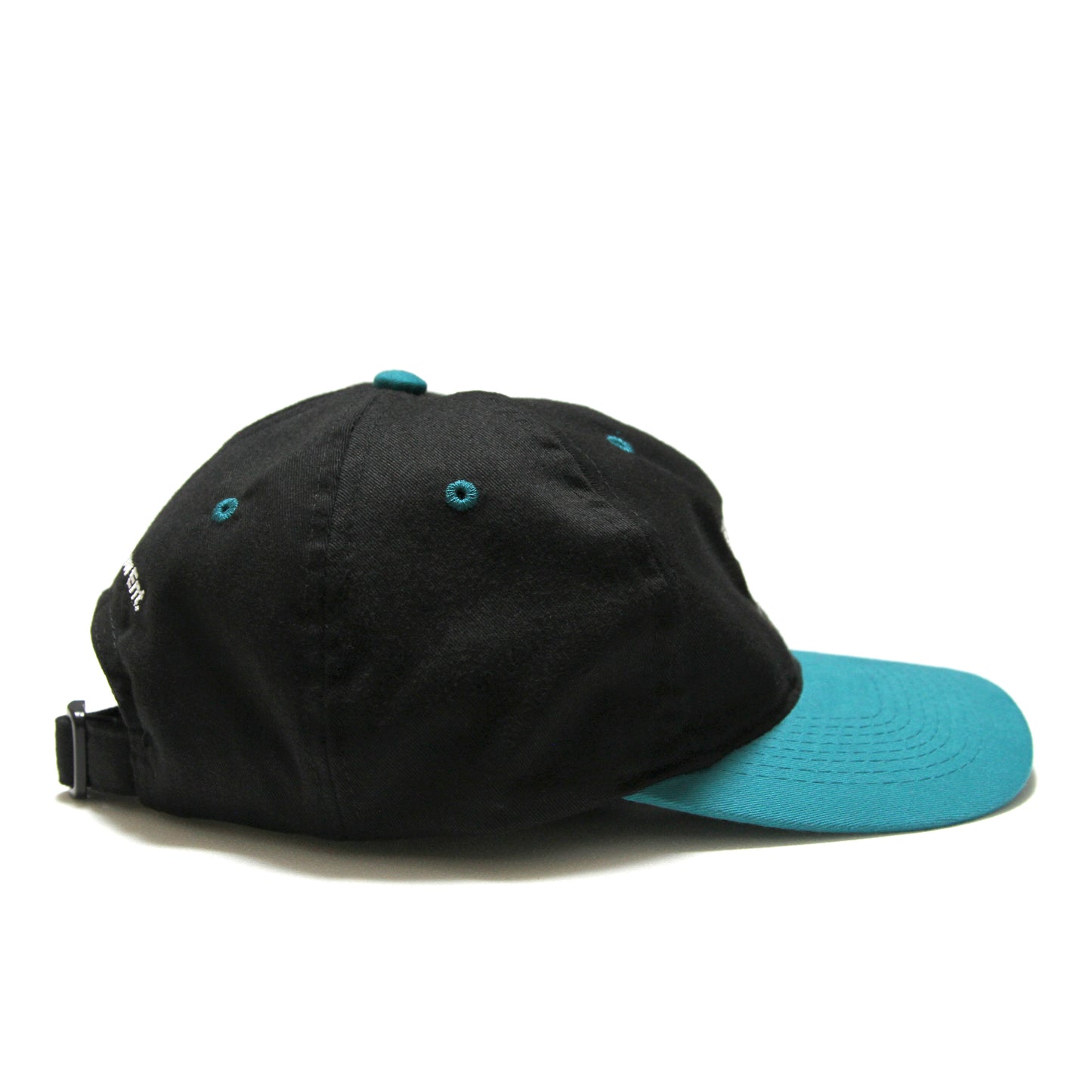 BURN SLOW - Brush Logo Cap/Black-Jade – RODI STORE - TOKYO