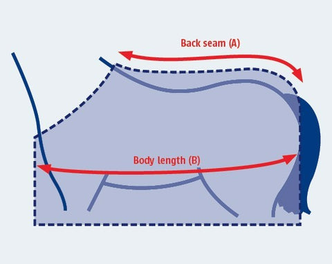 horse rug size chart