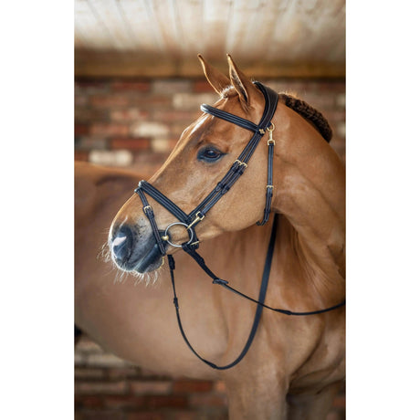 Brass 3 D Horse Head Hook Bridle Rack Towel Coat - Stable Barn Home Equine  Décor