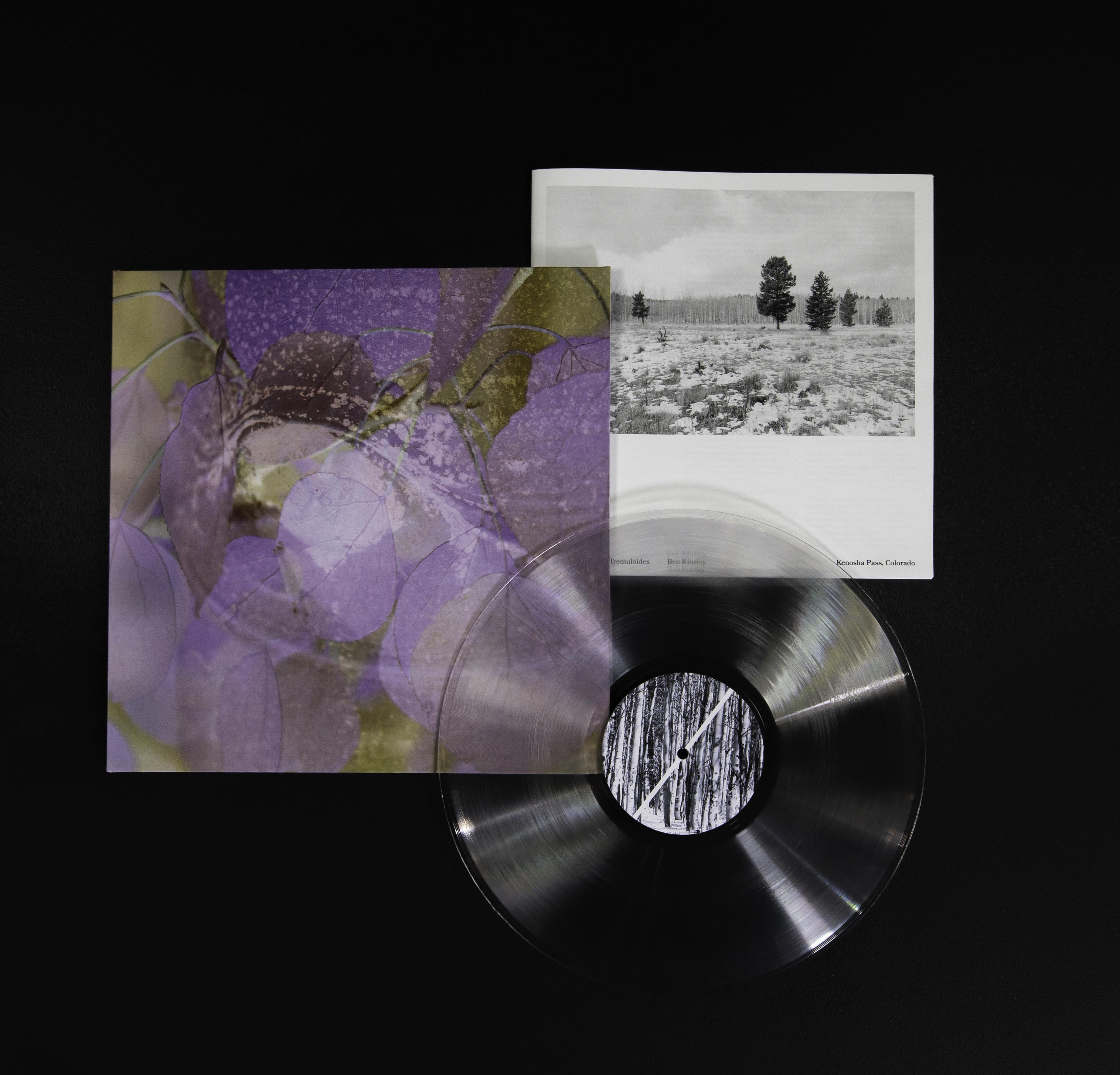 Ben Kinsley – "Tree Talks: Populus Tremuloides" Vinyl Record