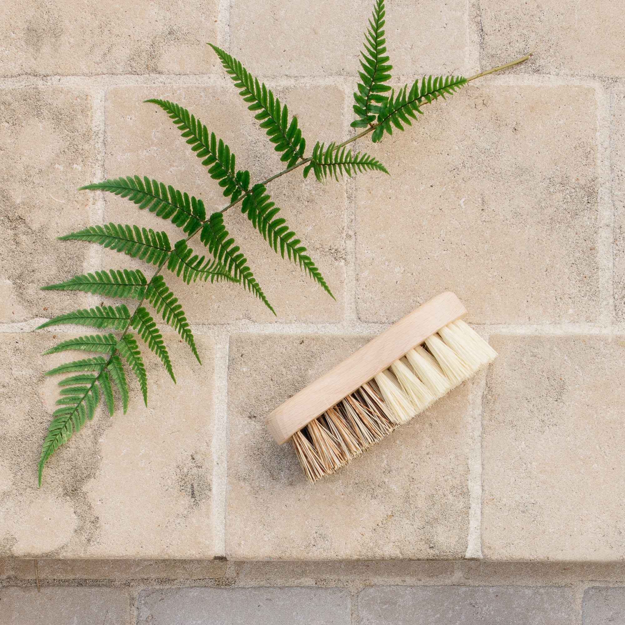 Brosse à vêtements en caoutchouc Andrée Jardin