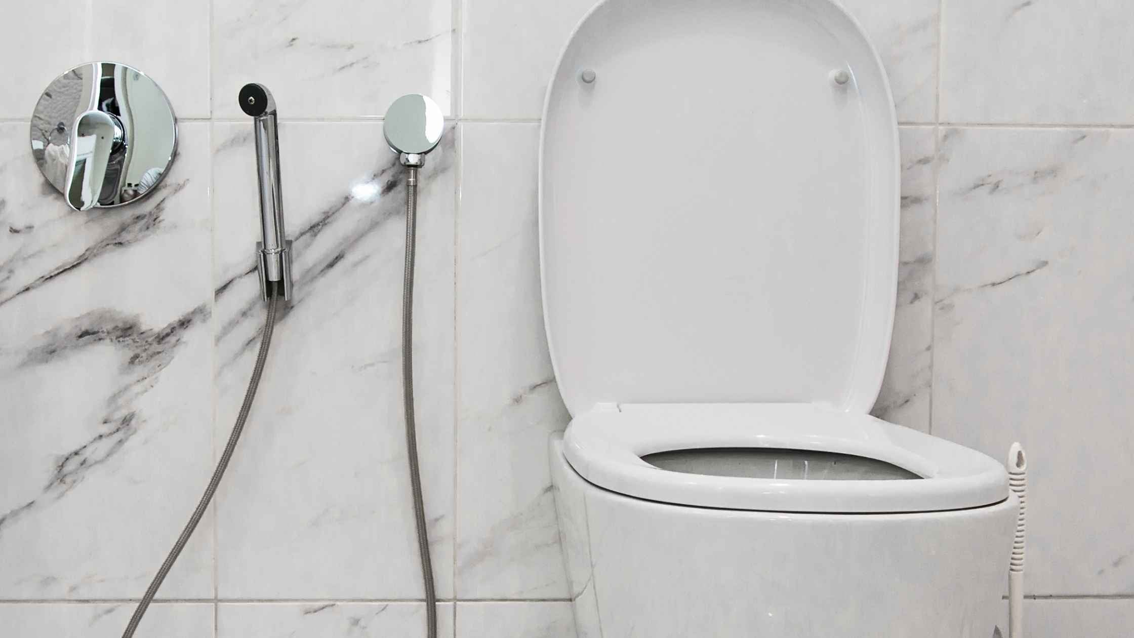 Alternatives to toilet paper - Toilet shower