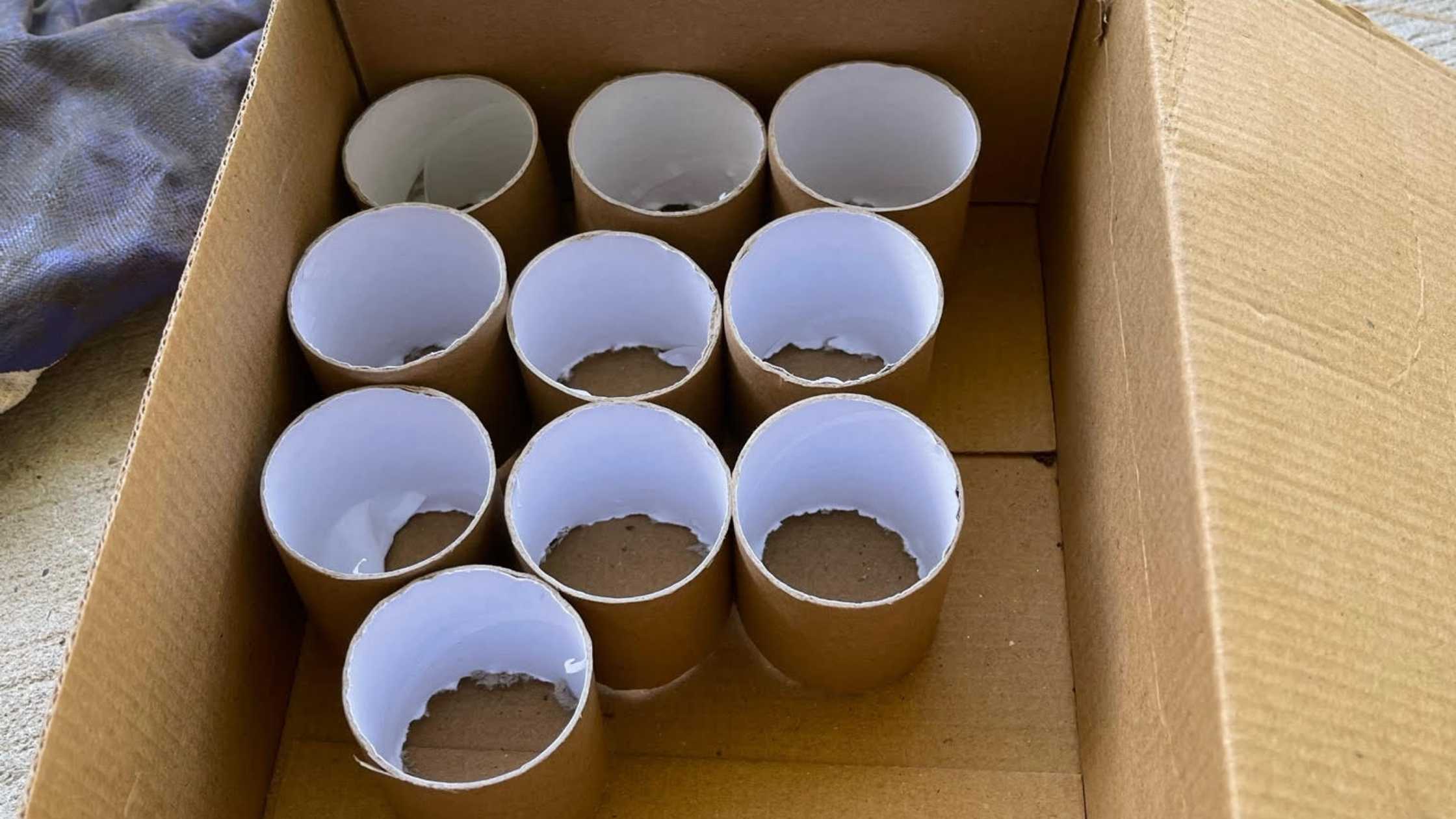 Garden - using toilet paper rolls as seedling pots half toilet rolls