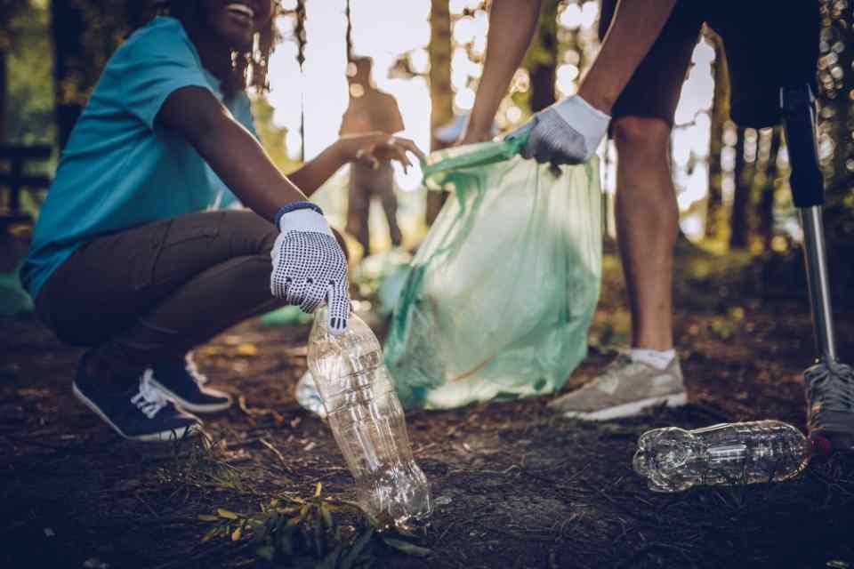 Image of a group of community members doing their bit and cleaning up a forest of rubbish