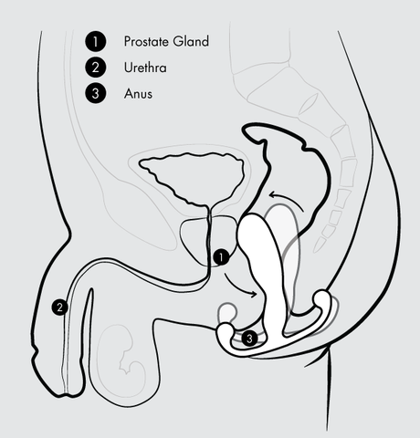 Aneros MGX Trident Prostate Stimulator