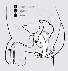Aneros Maximus Trident Prostate Stimulator