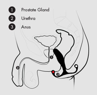 Aneros MGX Syn Trident Prostate Stimulator