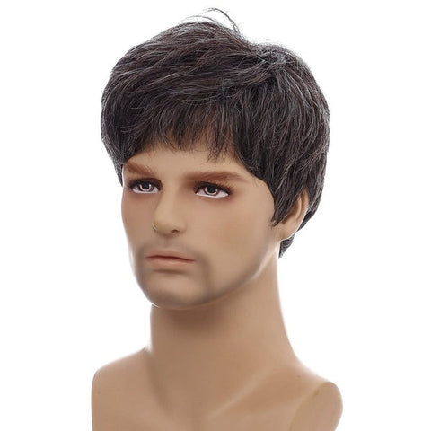 Realistic Mens Wig