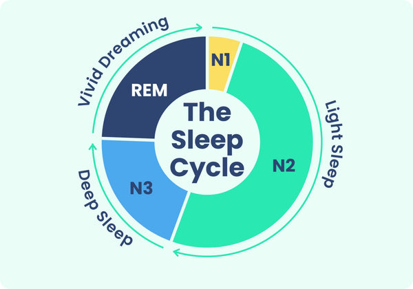 4 Stages Of Sleep Cycle