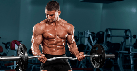Bodybuilding creating bicep muscle mass with resistance training