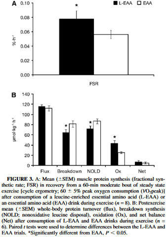 muscle protein synthesis chart