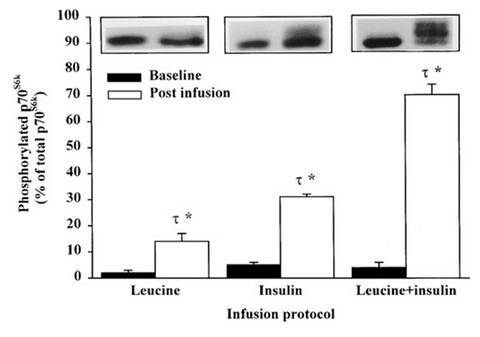 phosphorylated chart