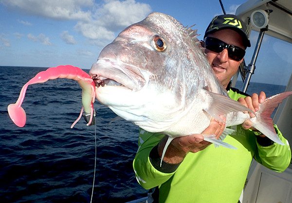 How To Fish with Madeye Soft Plastic Lures – Halco Lures