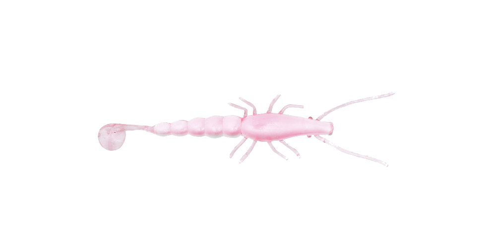 Paddle Prawn 3″