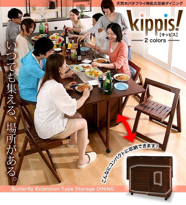 折りたたみチェア 2脚組 kippis! キッピス フォールディングチェア