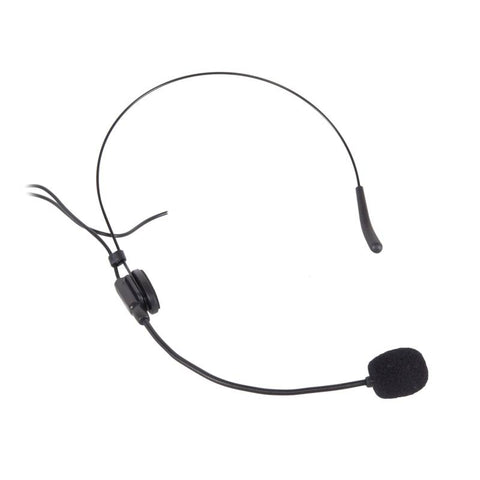 Audio Technica ATM350a Microfono a Condensatore per Strumenti con Clip – Ippo  Music