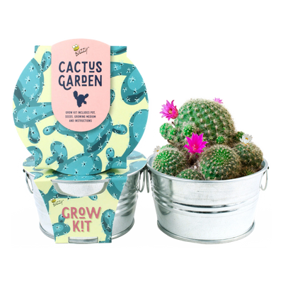 7022390 GROW KIT PRICKLY CACTUS Modern Sprout Prickly Pear Cactus