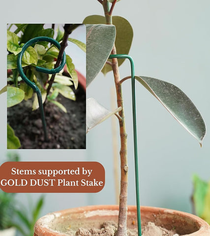 plant support sticks
