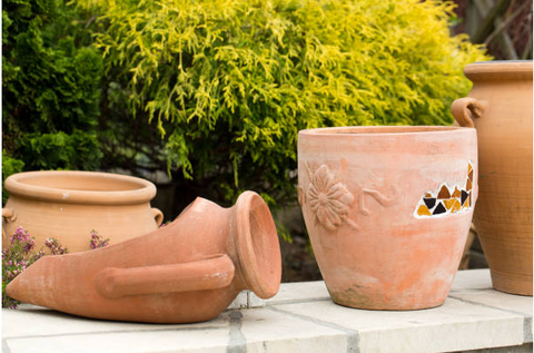 Terracotta clay pots for plants