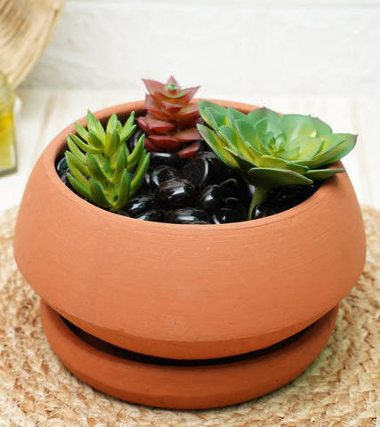 terracotta pots