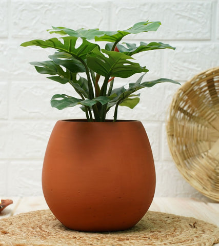 clay pots for plants