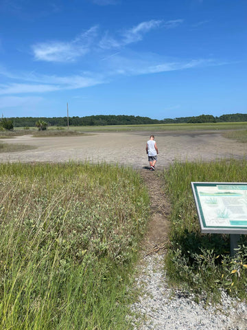 Pinckney Island Wildlife Refuge